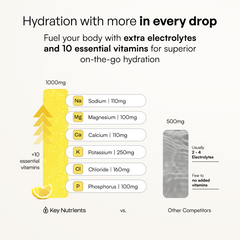 Electrolyte Recovery Plus Powder (Sugar-Free)